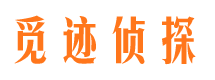 七里河市侦探